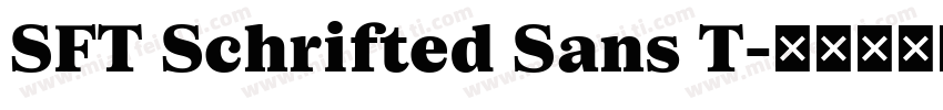 SFT Schrifted Sans T字体转换